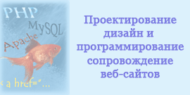 Web Design and Development